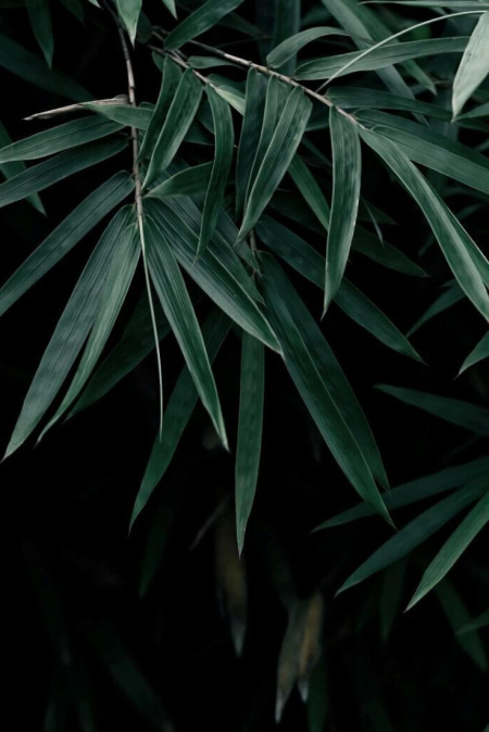 istanbul avukat mustafa keskin maltepe avukat hukuk bürosu makaleleri